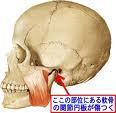 顎関節症１.jpg