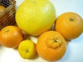柑橘類.jpg